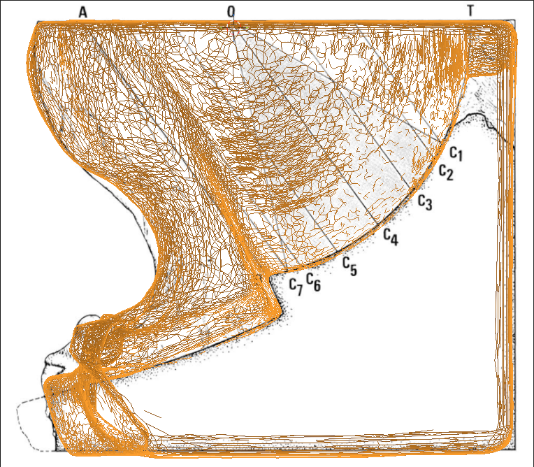 cross-section view of generated mesh and drawings
